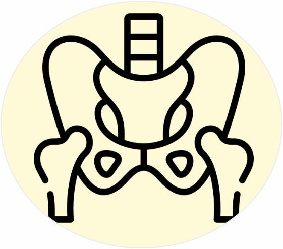 hip replacement
